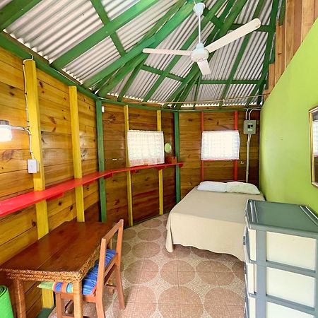 Judy House 2 - Lewis Backpacker Hostel Little Bay 部屋 写真