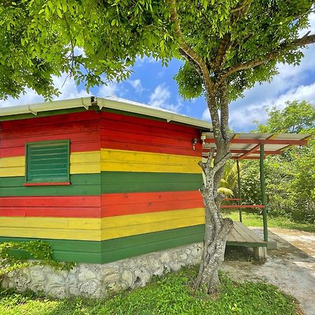 Judy House 2 - Lewis Backpacker Hostel Little Bay 部屋 写真