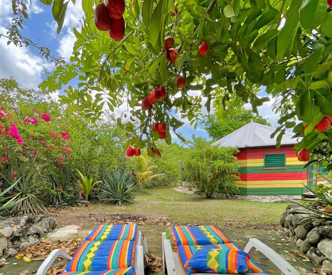 Judy House 2 - Lewis Backpacker Hostel Little Bay エクステリア 写真