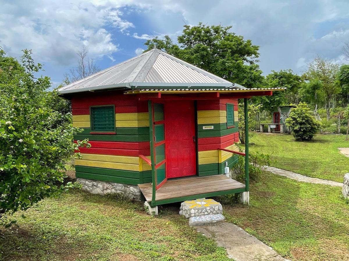 Judy House 2 - Lewis Backpacker Hostel Little Bay エクステリア 写真