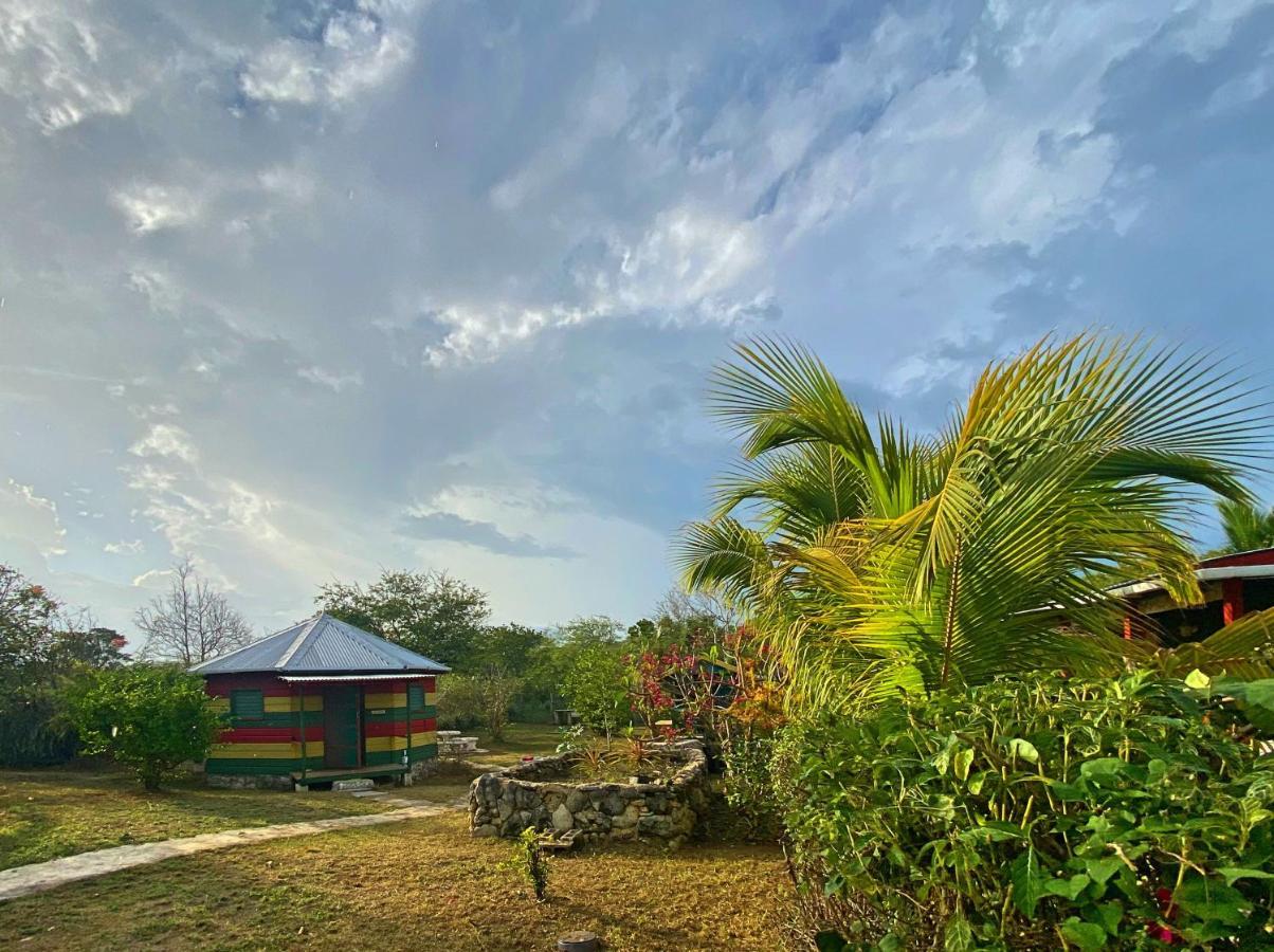 Judy House 2 - Lewis Backpacker Hostel Little Bay エクステリア 写真