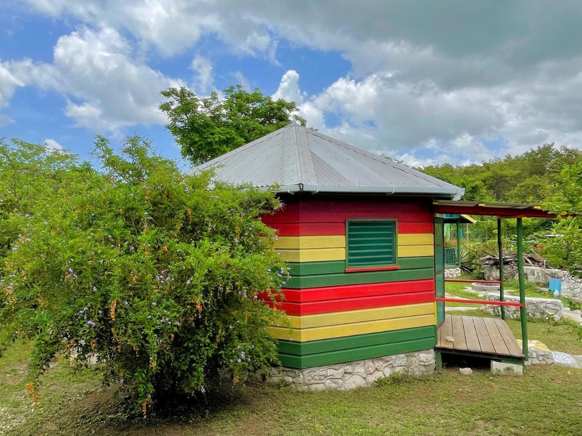 Judy House 2 - Lewis Backpacker Hostel Little Bay エクステリア 写真