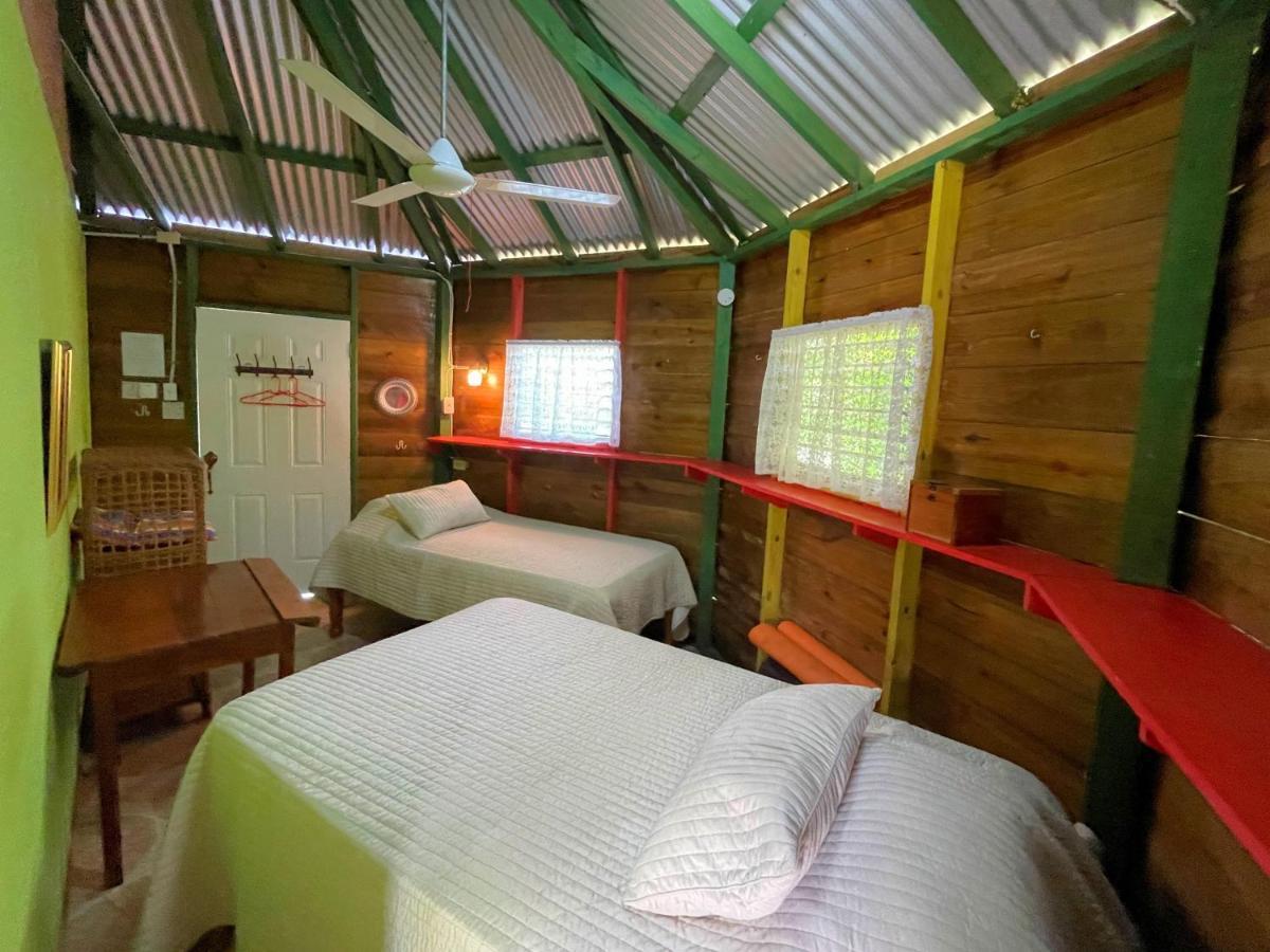 Judy House 2 - Lewis Backpacker Hostel Little Bay エクステリア 写真