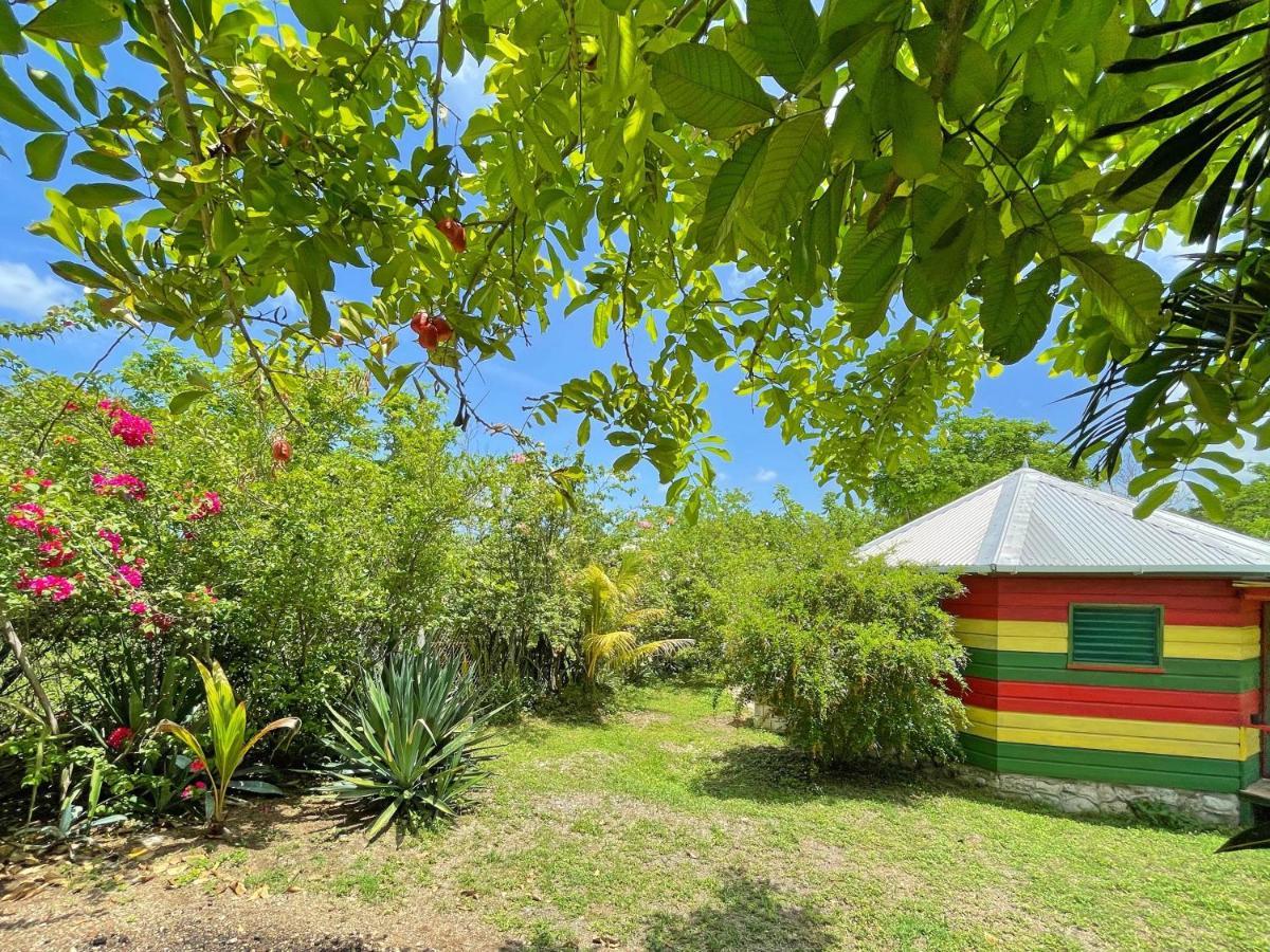 Judy House 2 - Lewis Backpacker Hostel Little Bay 部屋 写真