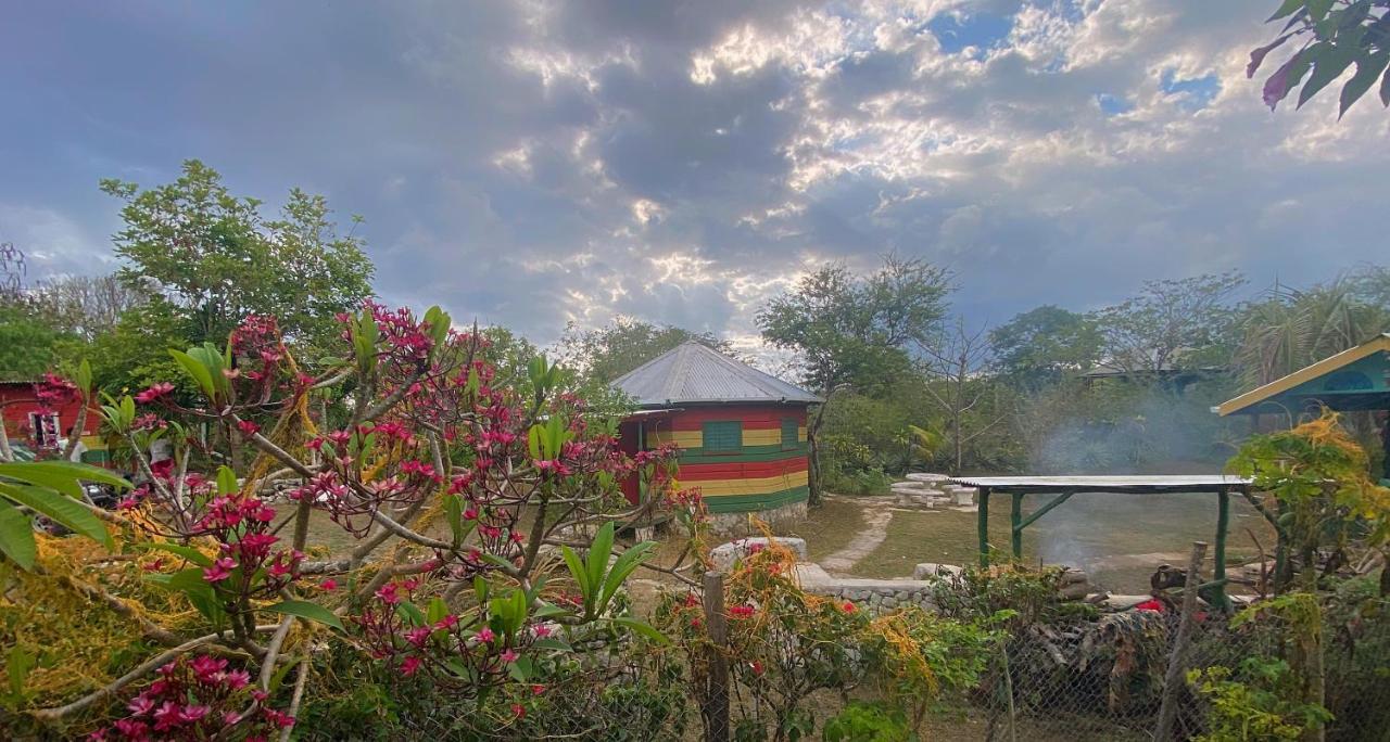 Judy House 2 - Lewis Backpacker Hostel Little Bay エクステリア 写真