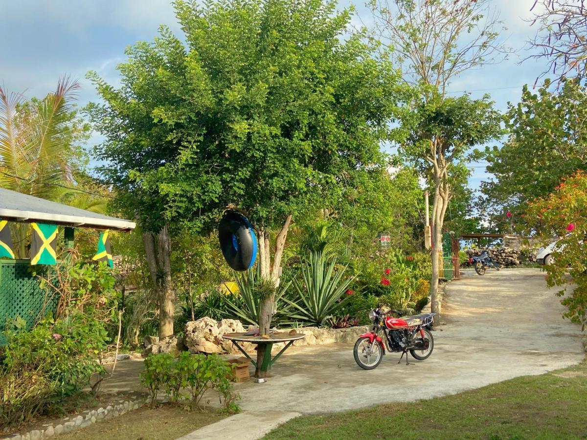 Judy House 2 - Lewis Backpacker Hostel Little Bay エクステリア 写真
